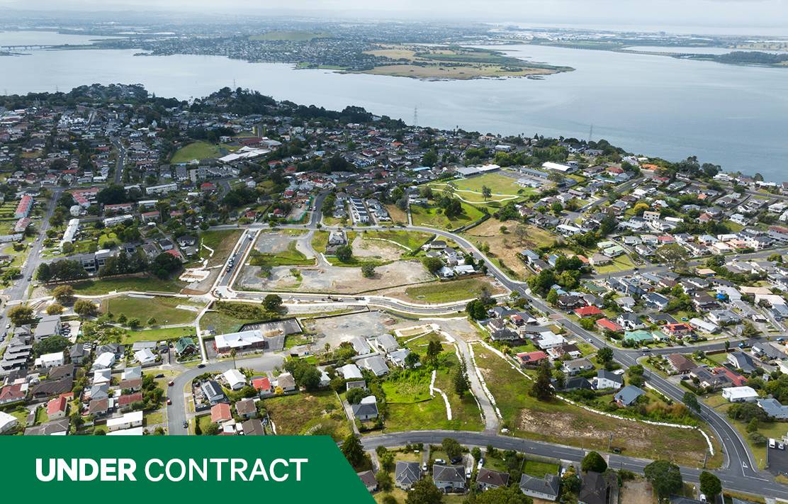 Waikowhai land sold 3